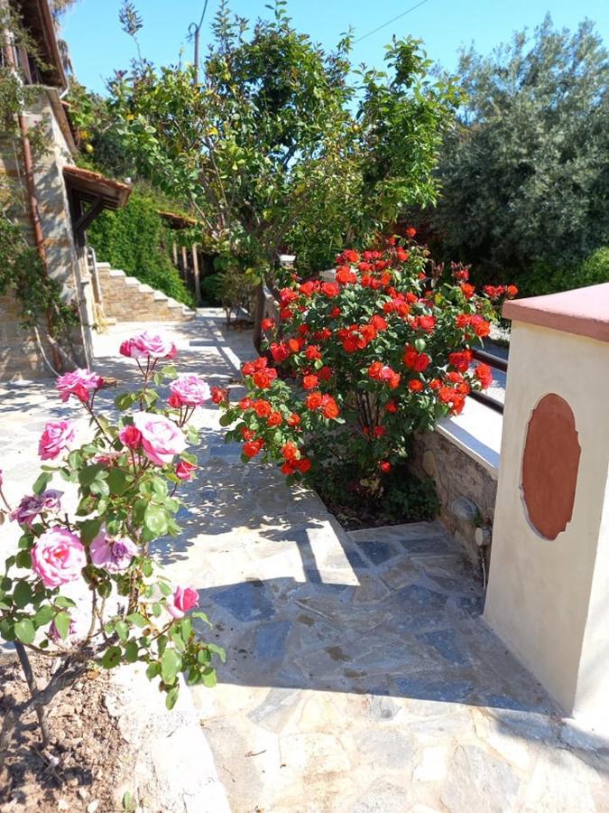 Margis Studio Xinovrisi Exterior photo